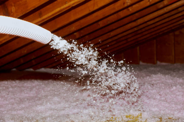 Best DIY Insulation Kits and Guidance in Lakewood Ranch, FL