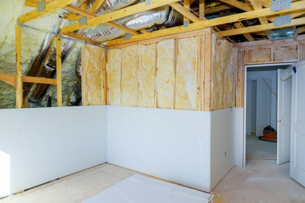 Types of Insulation We Offer in Lakewood Ranch, FL
